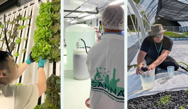 Dedicated support and education